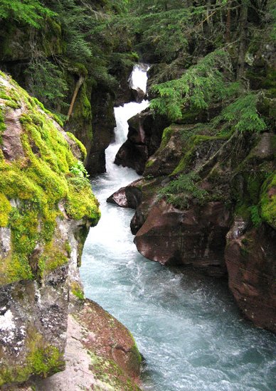 A river flows between moss-covered rocks and green forest